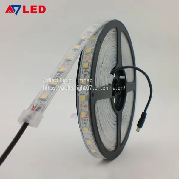 9 Years Factory High Lumen 24v 2000k 2200k 2400k Outdoor Silicone Tube 5050 Smd Led Strip Lights photo-2