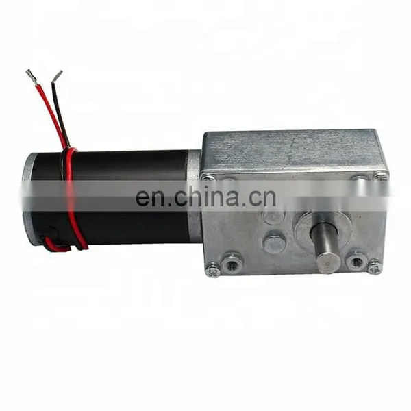 ChiHai Motor CHW-GW4058-31ZY 8mm Shaft DC Worm Gear Motor With Dual Shaft 12V 24V Self Locking photo-4