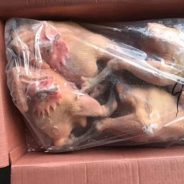 Black Feet Chicken Frozen Whole Raw Chicken China Wholesale Low Price photo-3