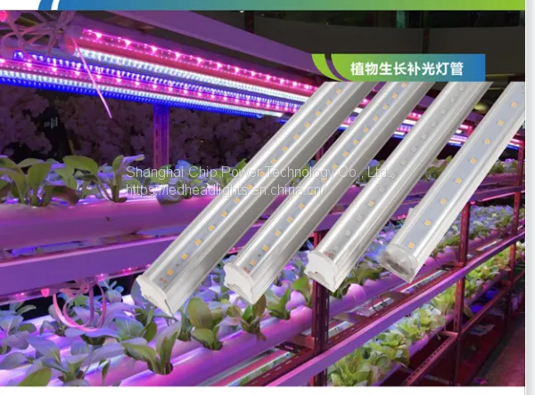 LED Grow Lights Solutions