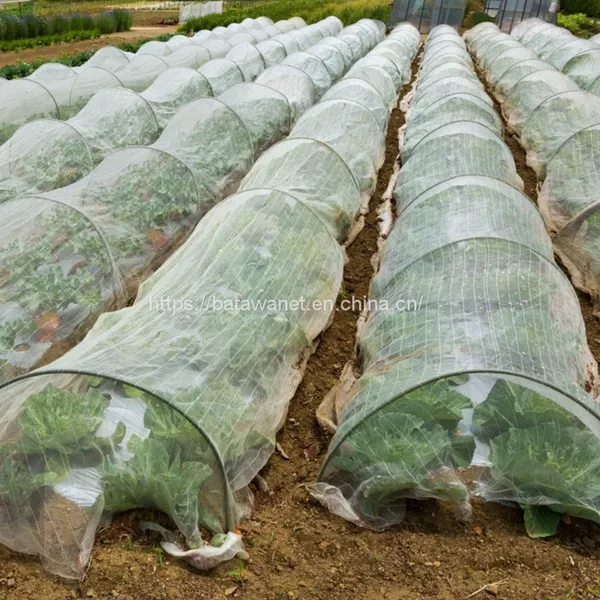 Hdpe Agricultural Plastic Mesh Fruit and Vegetable Insect Net Vegetable Farm Insect