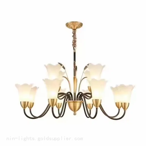 Modern European Style Living Room Bedroom Chandelier Fixture photo-5