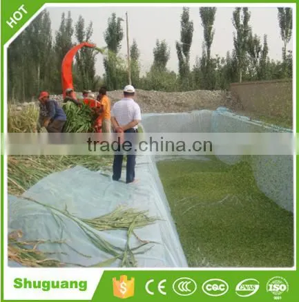 Dairy Cattle Feed photo-3
