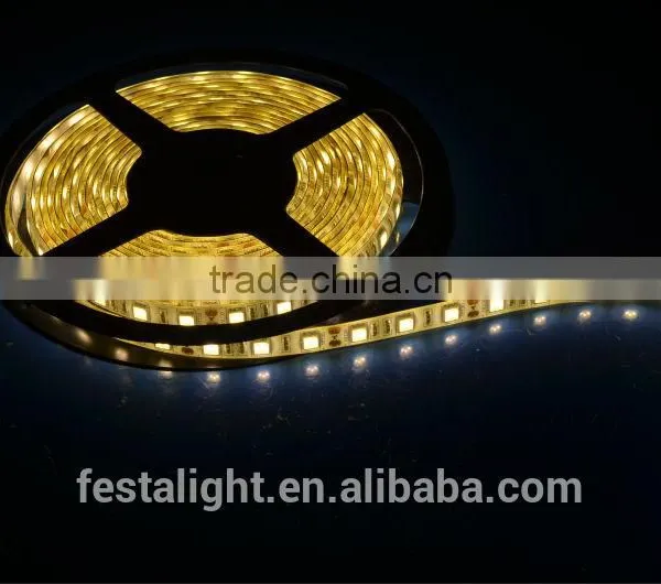 2016 China Supplier Hot Sale Product 5050 3528 OUTDOOR LIGHTS LED STRIP LIGHT photo-5