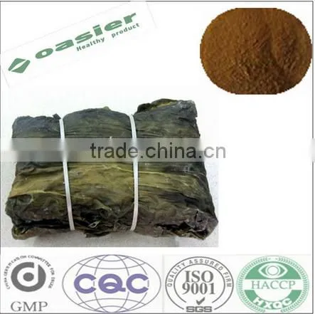 Sale Herbal Extract Manufacturers Kelp Fucoidan/wakame Kelp Extract