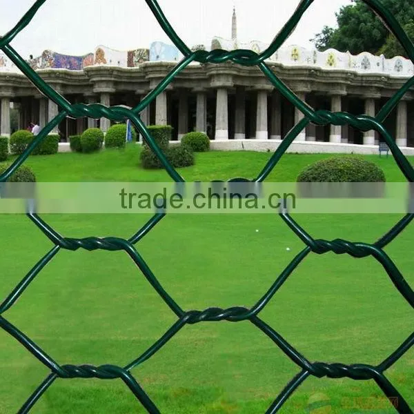 Galvanized Hexagonal Gabion Wire Mesh/gabion Protective Mesh/gabion Mesh Roll photo-6