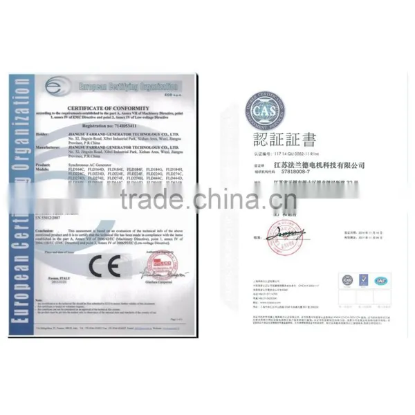 Single Phase Generator/alternator photo-5