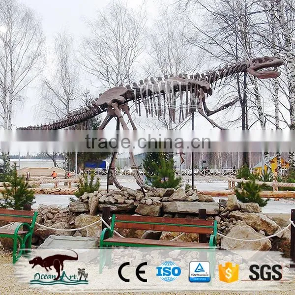 OA-DS-62S5 Exhibition Museum Fiberglass Enormous Dinosaur Fossils photo-6