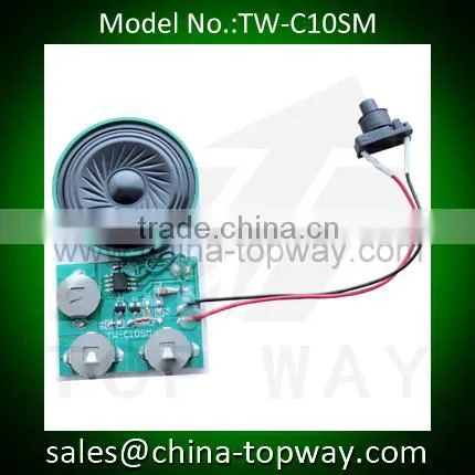 Programmable sound chip recordable modules with motion sensor