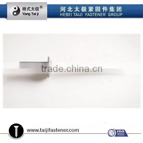 Rivet Screw photo-6