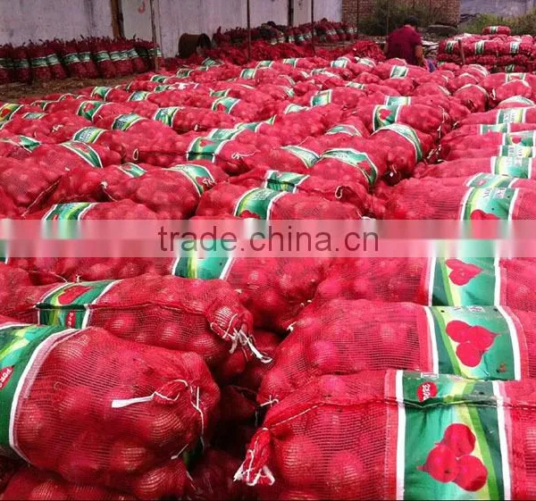 Fresh Onion on Sale in This Hot Season Before New Year With High Quality and Reasonable Price photo-5