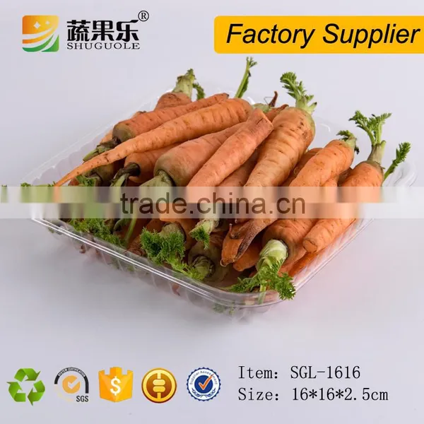 Disposable Plastic Clear Fruit Food Tray photo-2
