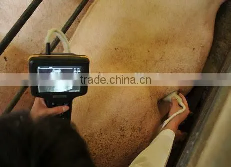 Waterproof Vet Ultrasound Scanner From Factory photo-3