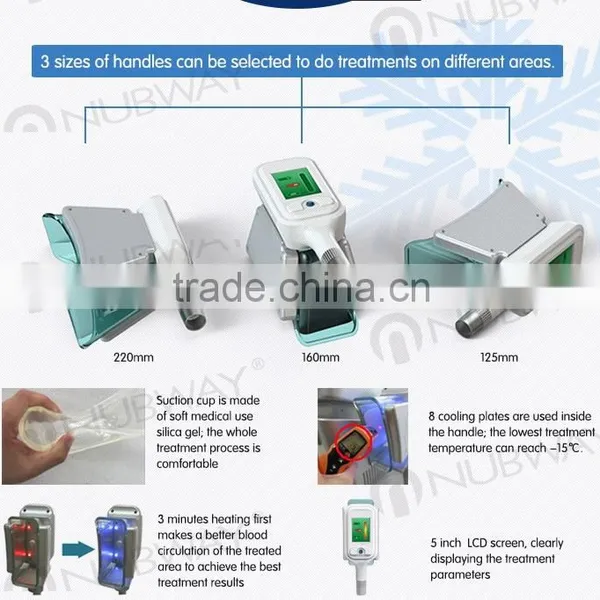 Criolipolisis Machine Freeze Fat Slimming Weight Loss Cryolipolise Fat Freeze Machine photo-5