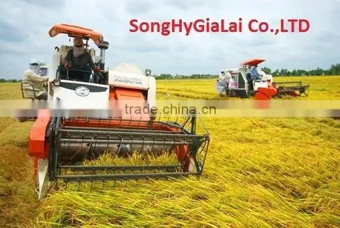 VIETNAM WHITE RICE LONG GRAIN 100% BROKEN photo-3