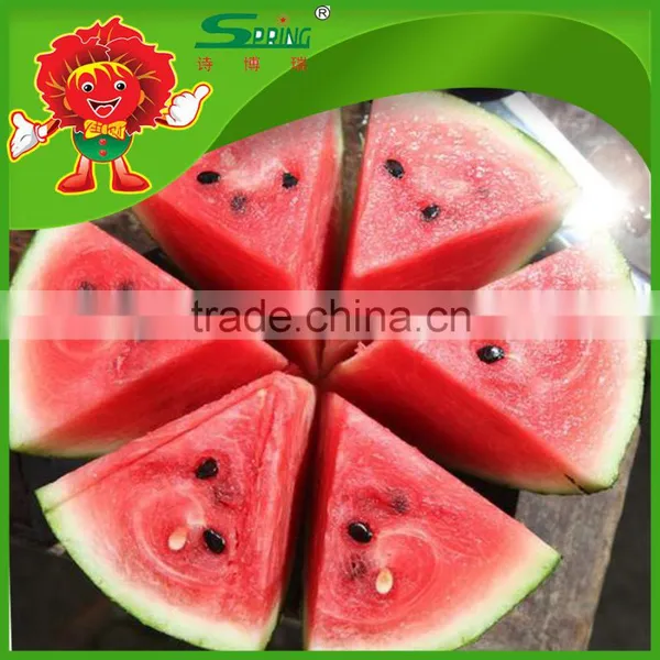 no Frozen Watermelon Cheap Chinese Fresh Watermelon Fake Watermelon photo-3