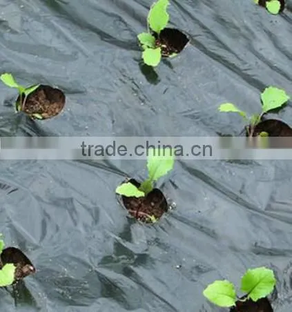 Agricultural PE Protective Plastic Mulch Film photo-3