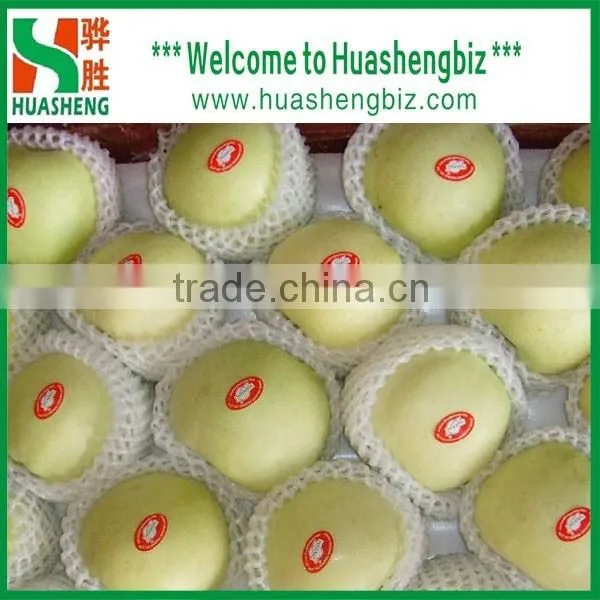 New Season Best Quality of Chinese golden delicious apple