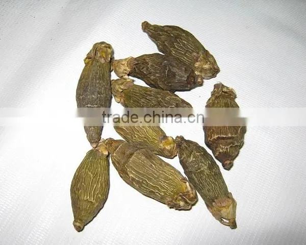 BETEL NUT photo-4