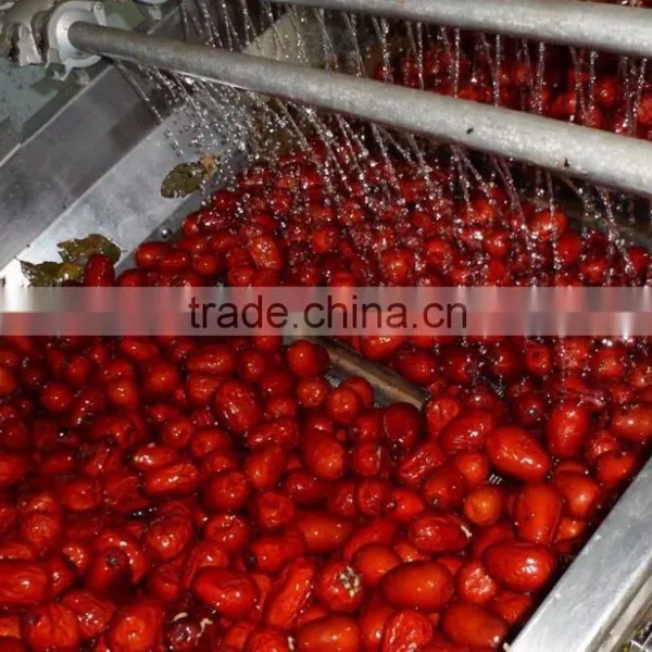 Chinese Dried Red Dates photo-3