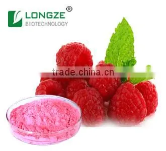 Plant Extraction Manufacturer Supply Red Raspberry Fruit Powder Extract-Raspberry