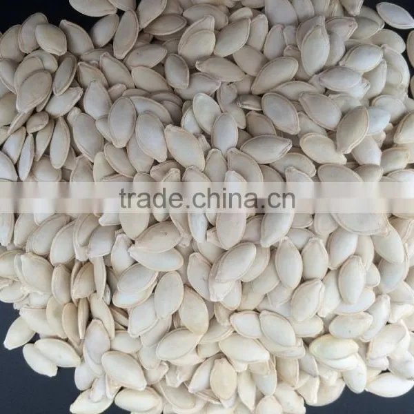 Shine Skin Pumkin Seeds 9-11mm With Good Price photo-4