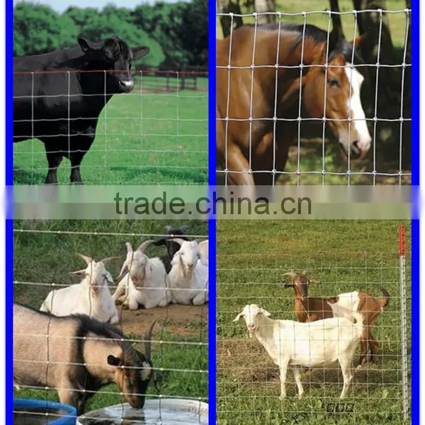 Farm Guard Field Fence ( Anping Factory ) photo-2