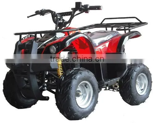 800W Brushless Motor / Shaft Elelctric Quad ATV 800W (TKE-A800-G) photo-4