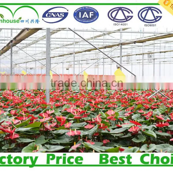 Double Inflatable Film Prefabricated Greenhouse With Hydroponic System photo-6