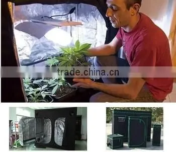 Indoor Greenhouse Black Grow Tent photo-3