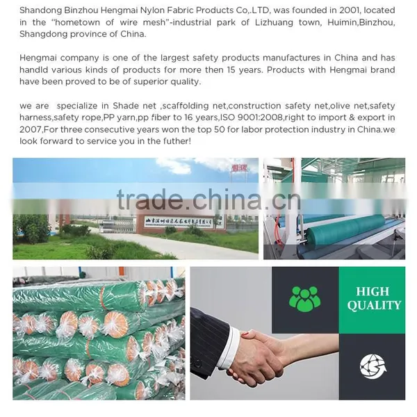 Debris Netting / Green Construction Safety Net / Sun Shade Netting photo-5