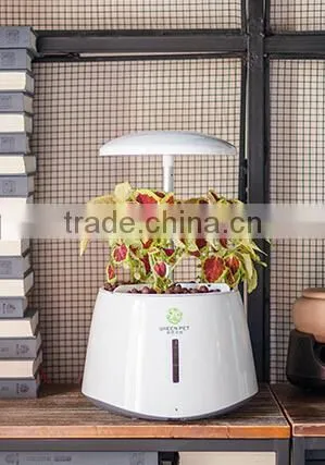Intelligent Flower Pots photo-4