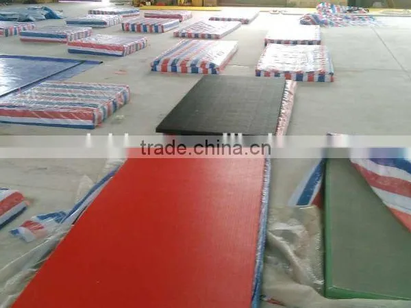 Competition Grade High Quality 230 Density 1mx1m 1mx2m Judo Martial Arts Mats photo-3