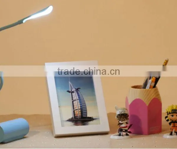 Adjustable Induction Type LED Light