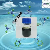 Catalase for Water Treatment
