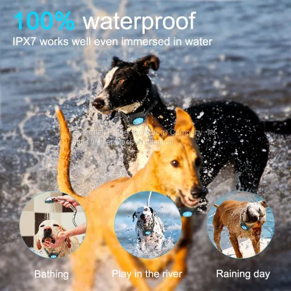 Best Dog Training Collar Vibration Settings /perimeter Shock Collar photo-4