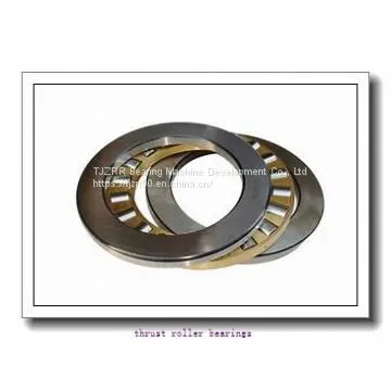 INA 81114-TV Thrust Roller Bearings photo-2