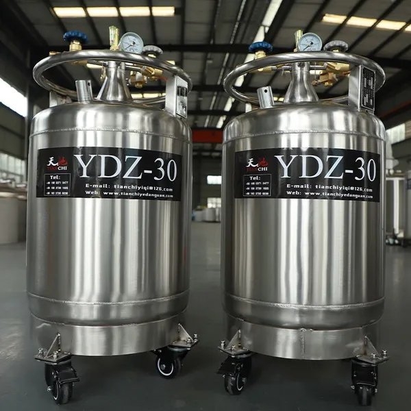 Thailand Filling Liquid Nitrogen Tank KGSQ Liquid Nitrogen Refrigerator photo-4