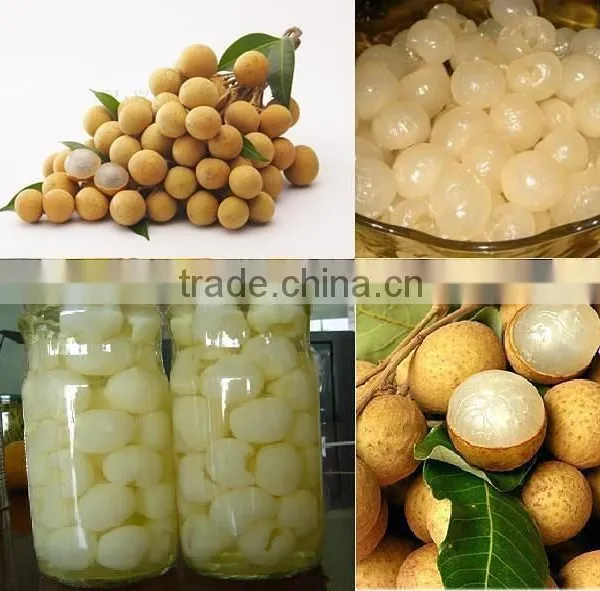 Canned Fresh Longan in Syrup -20 oz Tin (580 ml x 12 Tins)
