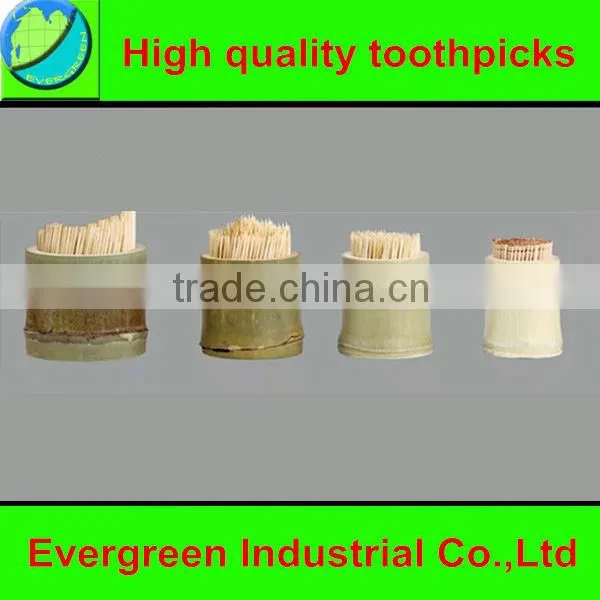 GL162--1 Good Quality Toothpicks for Sale photo-3