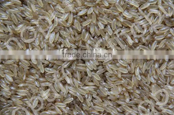Protein Rice Food Machines/Automatic Instant Nutritional Rice Making Machine photo-3