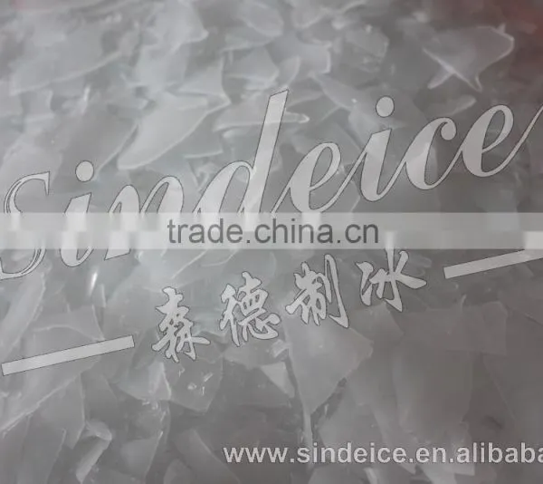 Sindeice Flake Ice Evaporator Machine 2T/24h photo-3