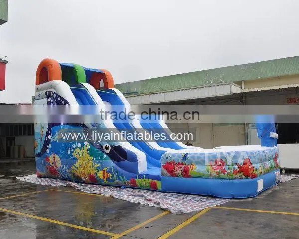 Promotional Giant Inflatable Water Slide,10m Length Water Slide With Pool photo-3