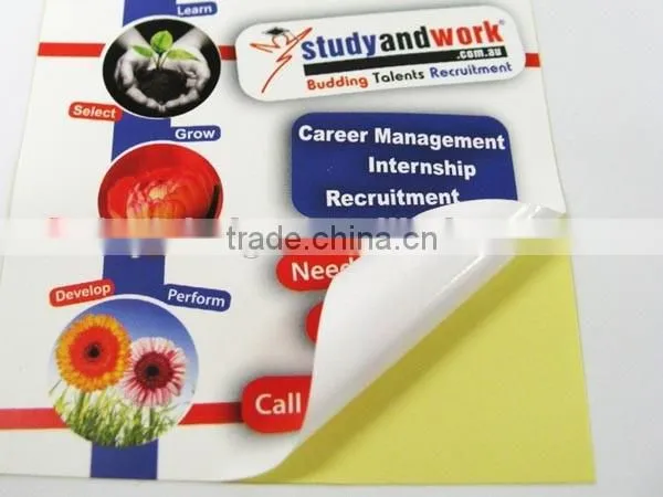 Factory Price OEM Fashion Printed Sticker, Wholesale Waterproof Customized Sticker Printing photo-5