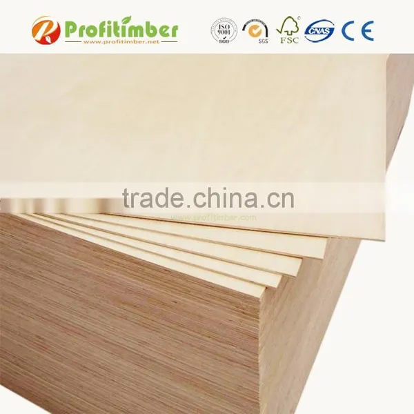 8x4 3mm 4mm Thickness Hardwood Plywood Sheet photo-5