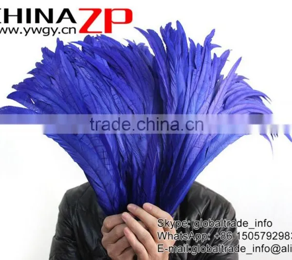 Leading Supplier CHINAZP Wholesale Colored Royal Blue Chicken Fully Dyed Roosters Feathers for Show photo-2