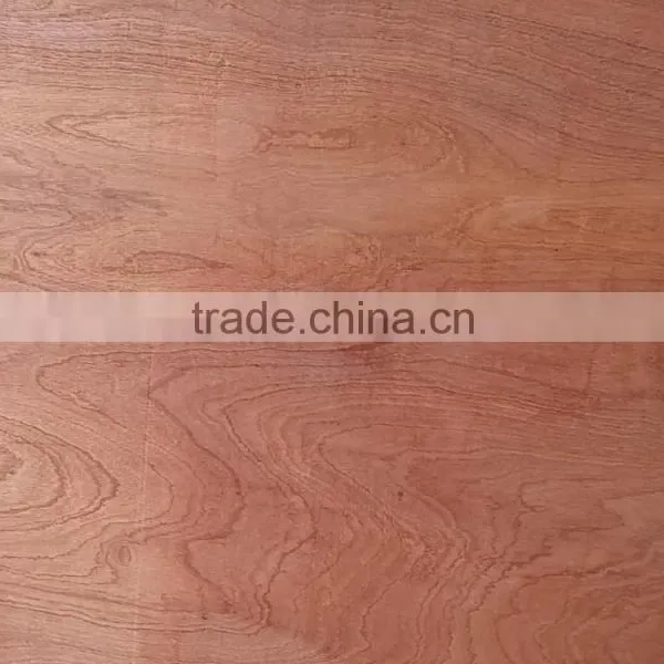 Commercial Plywood Viet Nam photo-5
