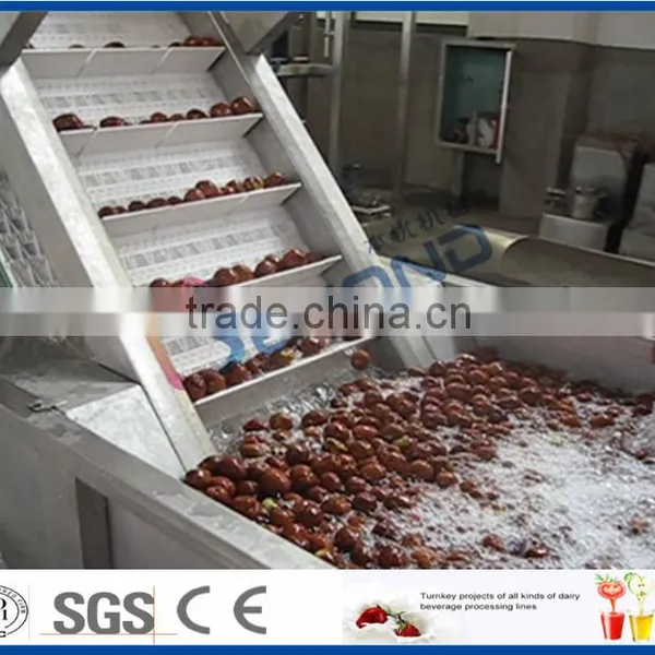 Date Juice Extraction Processing Line photo-2