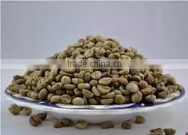 Robusta Coffee Grade 1 photo-4