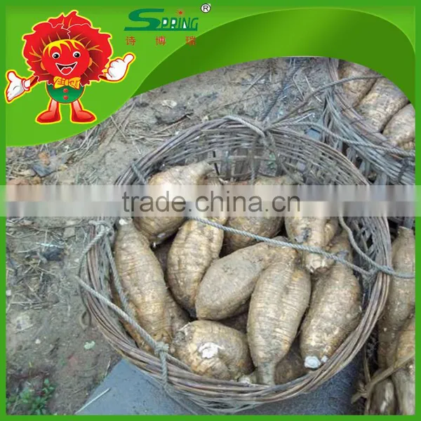 Supply High Quality Kudzu/kudzu Root/kudzu Root Powder photo-4